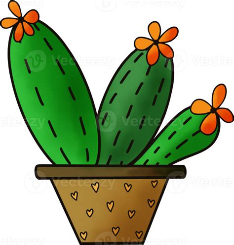 Free Cactus drawing isolated 22353933 PNG with Transparent Background