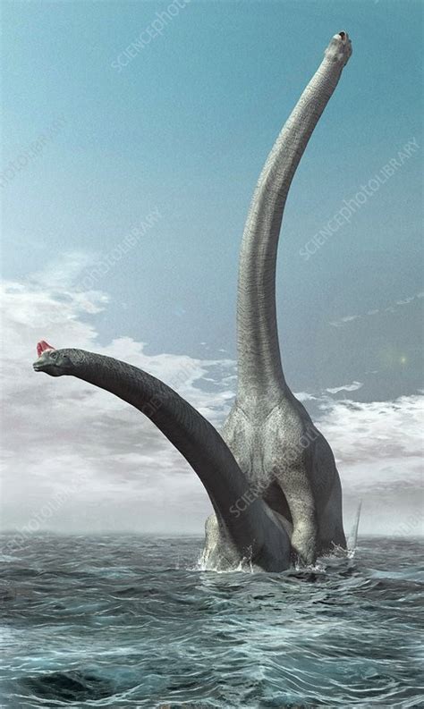 Sauroposeidon Dinosaurs Mating Stock Image C008 7560 Science | Free Download Nude Photo Gallery