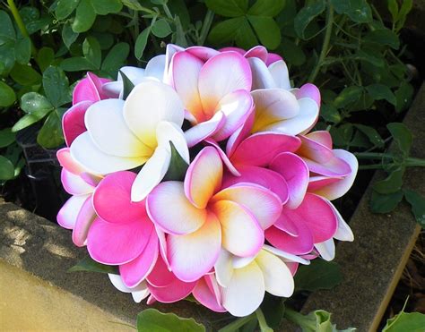 Pink Frangipani Plumeria Posy Bouquet Real-Touch Destination