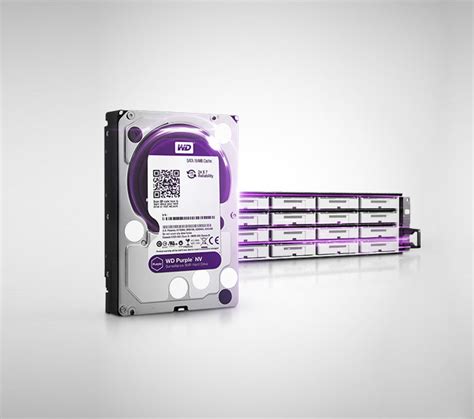 WD Purple™ & WD Purple™ NV | Newegg.com