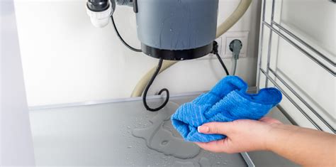 Is My Garbage Disposal Leaking? | Mike Diamond Plumbing