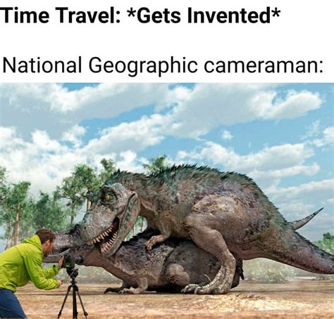 Dinosaur time : r/memes