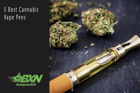 5 Best Cannabis Vape Pens - BudExpressNOW