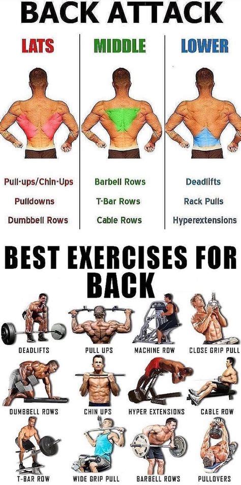 🚨BACK EXERCISES TUTORIAL | GUIDE - weighteasyloss.com - Fitness Lifestyle | Fitness and ...