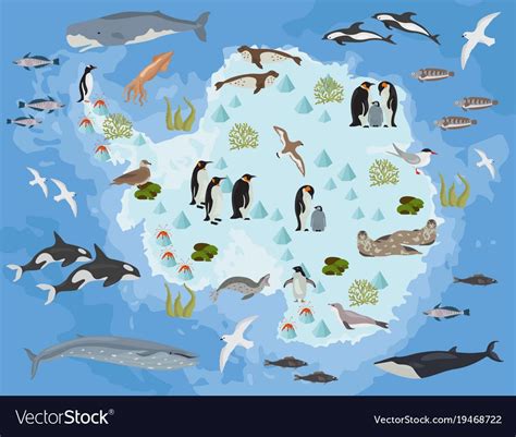 Geography Worksheets, Social Studies Worksheets, Ocean Food Web, Arctic Animals For Kids ...