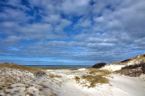 Bayside Beach Stroll! - CapeCod.com