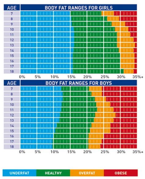 Abdominal Fat Visceral Fat Level Chart