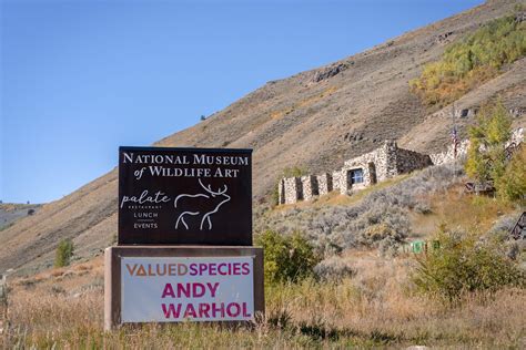 Finding conservation inspiration at Wyoming’s National Museum of ...