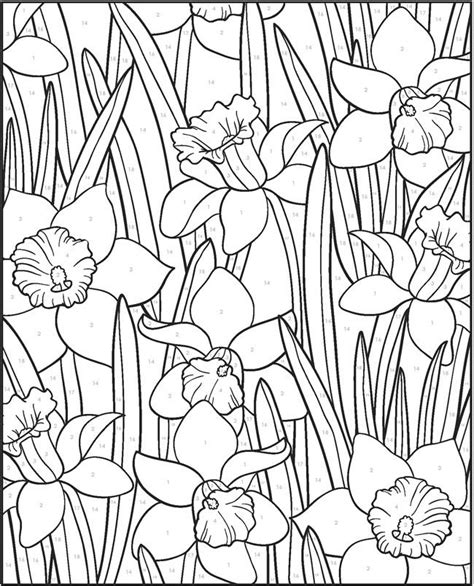 Welcome to Dover Publications | Flower drawing, Flower coloring pages, Flower drawing design