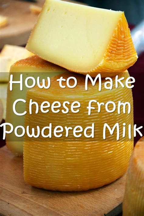 How to Make Cheese from Powdered Milk | How to make cheese, Cheese ...