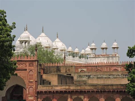 Moti Masjid / Pearl Mosque - Agra Fort, Agra - Timings, History, Best Time to Visit