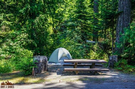 All About Camping in Olympic National Park