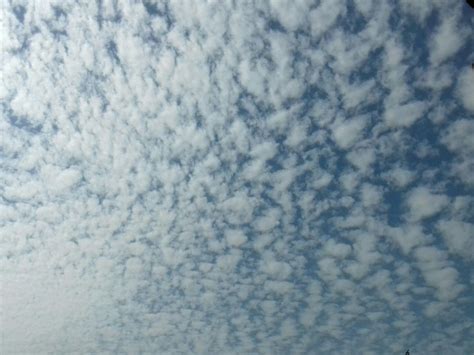 Blue sky with many small clouds Clouds, Sky, Nature, Blue, Outdoor ...