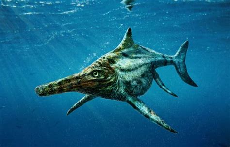 ichthyosaur - Dolphin Way