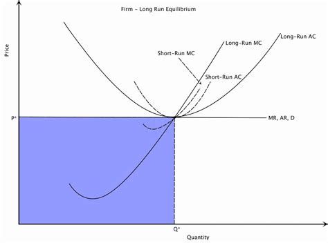 Perfect Competition Long Run | Intelligent Economist