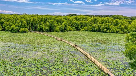 The Boardwalk at Lake Weatherford | Weatherford, TX - Official Website