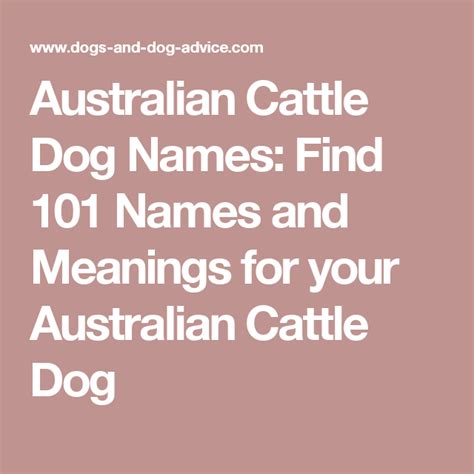 Australian Cattle Dog Names: Find 101 Names and Meanings for your Australian Cattle Dog ...