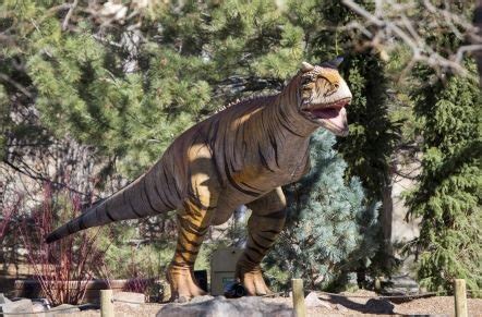 Dinosaur sculptures roar into Denver Zoo | YourHub