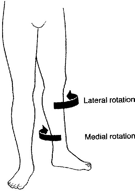 The Movement Enhancement Project: Patellofemoral Syndrome Is Not Just ...