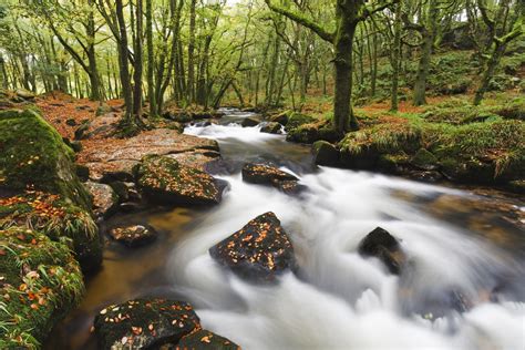 Hiking in Cornwall: Best trails, packing list & tours