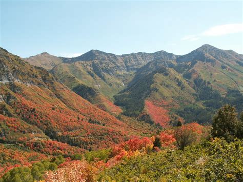 Fall in Wasatch Mountains | Fall in Wasatch Mountains, Uinta… | Flickr