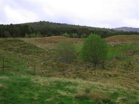 Black Wood of Rannoch © Roland Chadwick cc-by-sa/2.0 :: Geograph ...