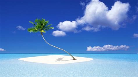 Palm Tree Beach Wallpapers - Wallpaper Cave