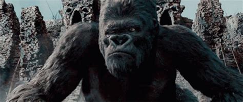 King Kong GIF – King Kong Kingkong2005 – discover and share GIFs