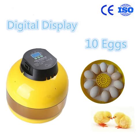 10 mini egg incubator quail manual egg incubator hatching quail eggs incubator -in Electric ...