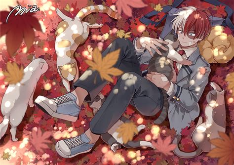 Shoto Todoroki Autumn Anime HD Wallpaper