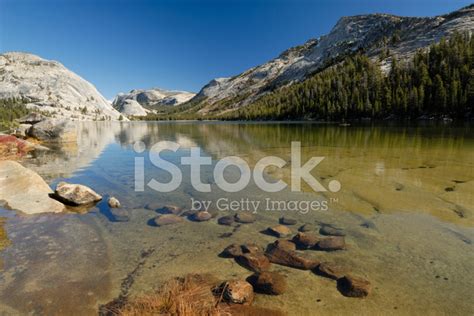 Tenaya Lake In Yosemite National Park Stock Photo | Royalty-Free ...