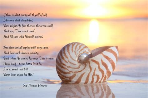 My favorite poem | Nautilus shell, Sea gifts, Removable wall murals