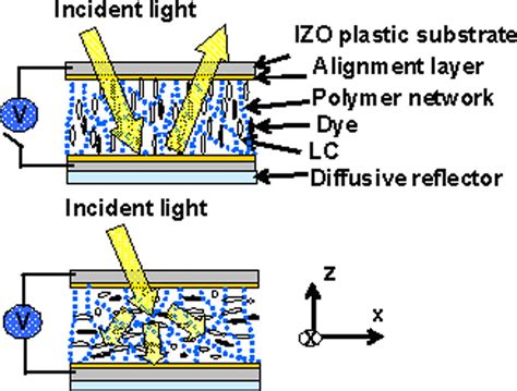 Novel polarizer-free flexible liquid-crystal displays