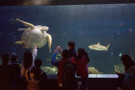 Photo Essay: Vancouver Aquarium | Vancouver Homes