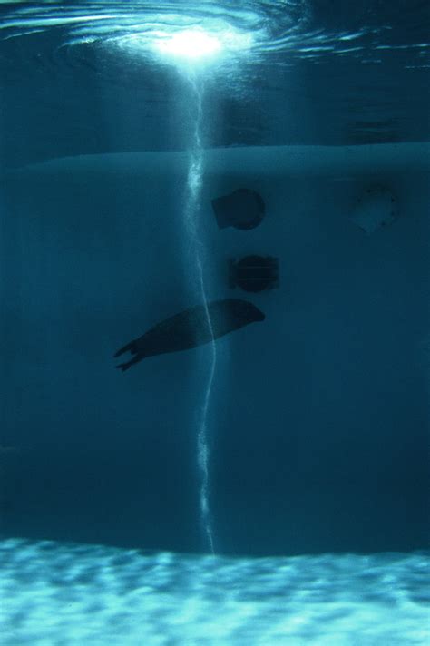 Underwater Tornado | hayleybrush | Flickr