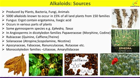 Alkaloid Plants