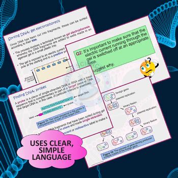 Genetic Engineering Techniques (PowerPoint presentation) | TPT