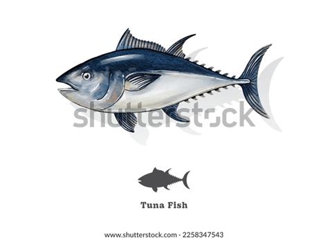 Tuna Fish Watercolor Sketch Line Art Stock Vector (Royalty Free ...