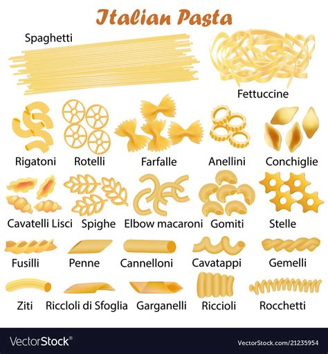 Set of kinds of italian pasta Royalty Free Vector Image