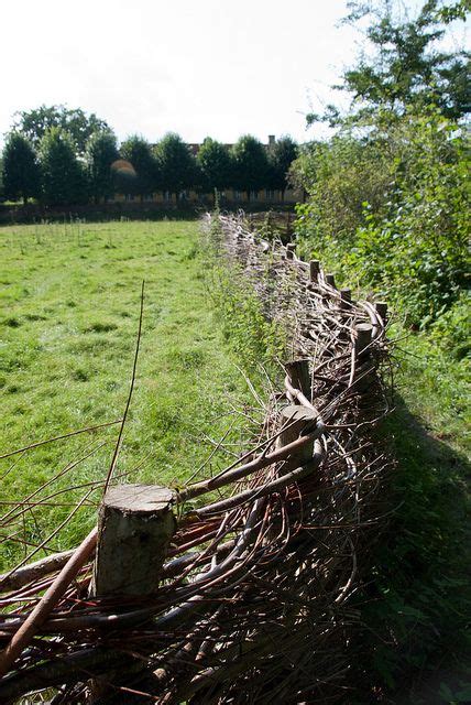 Wattle Fence | Wattle fence, Garden fencing, Natural fence