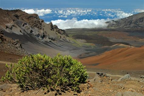 Maui Sightseeing Tours | Volcano Tours