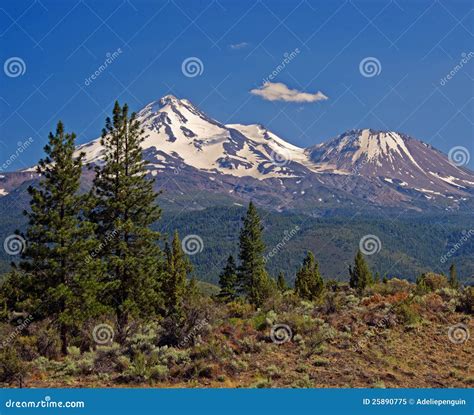 Mount Shasta, Cascade Mountains, California Stock Image - Image of ...