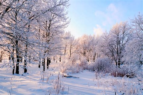 Magic moments: Splendid Russian winter in photos and literary quotes - Russia Beyond