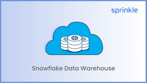 What is Snowflake Data Warehouse? - A Detailed 2024 Guide