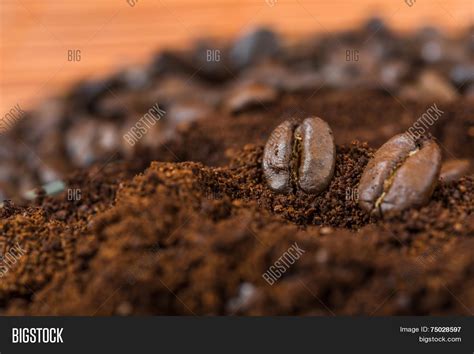 Arabic Roasting Coffee Image & Photo (Free Trial) | Bigstock