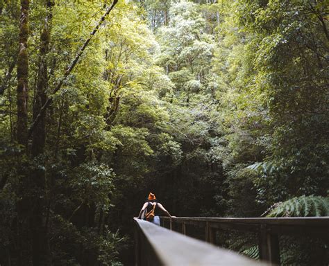 Rosebery | West Coast Tasmania