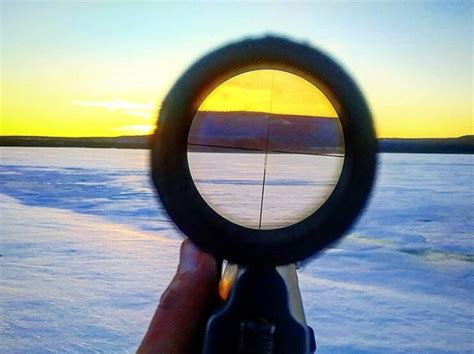 Hunting Guide: Importance of Sniper Scope - Boreal Forest