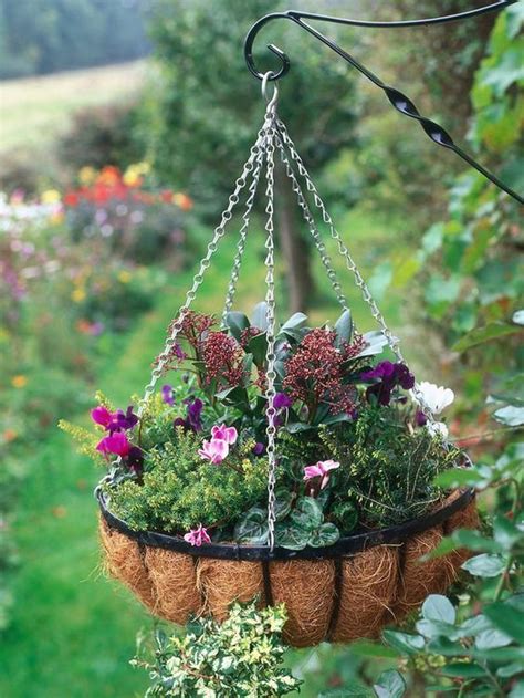 Plant a Winter Hanging Basket - on HGTV: | Hanging flower baskets, Winter hanging baskets ...