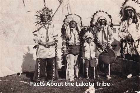 10 Facts About the Lakota Tribe - Have Fun With History