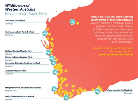 Wildflower Season WA: Find Australian Native Wildflowers 2023